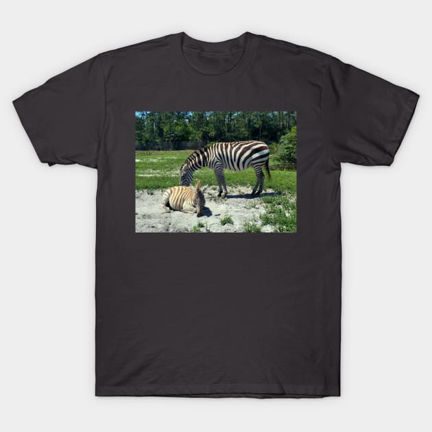 Zebra Mom and Baby T-Shirt by KarenZukArt